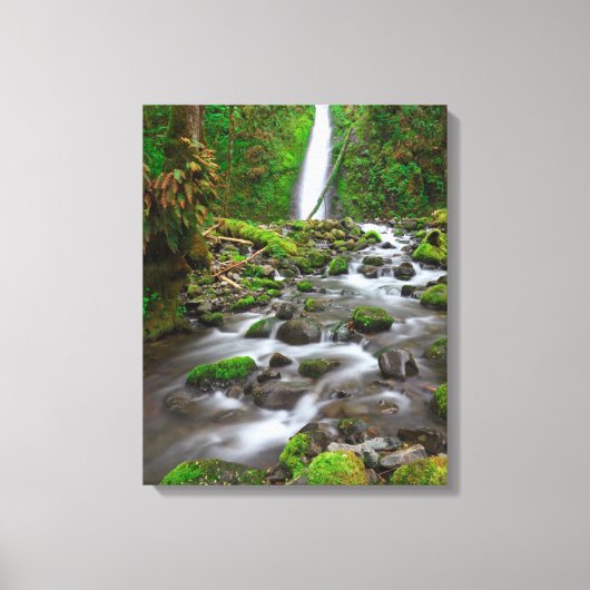 Ruckel Creek Falls, Columbia River Gorge Oregon Canvas Afdruk (Voorkant)