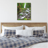 Ruckel Creek Falls, Columbia River Gorge Oregon Canvas Afdruk (Insitu (Slaapkamer))