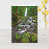 Ruckel Creek Herfsten, Columbia River Gorge Oregon Kaart (Gele Bloem)