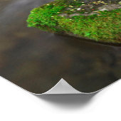 Ruckel Creek Herfsten, Columbia River Gorge Oregon Poster (Hoek)