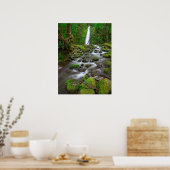 Ruckel Creek Herfsten, Columbia River Gorge Oregon Poster (Keuken)