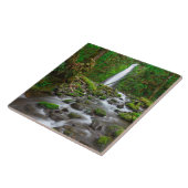 Ruckel Creek Herfsten, Columbia River Gorge Oregon Tegeltje (Zijkant)