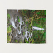 Ruckel Creek Herfsten, Columbia River Gorge Oregon Wandkleed (Voorkant (horizontaal))