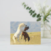 Ruckus Briefkaart (Staand voorkant)