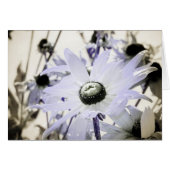 Rudbeckia (Voorkant Horizontaal)