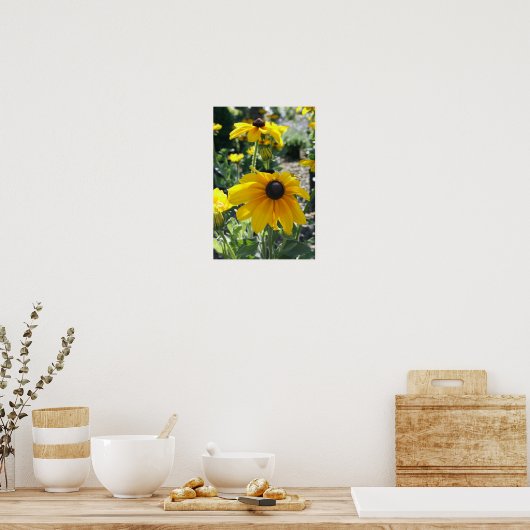"Rudbeckia Bloom" Poster (Keuken)