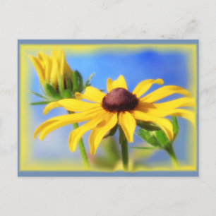Rudbeckia Blues - Vignette Briefkaart
