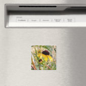 Rudbeckia en Co Magneet (Insitu (Vaatwasser))