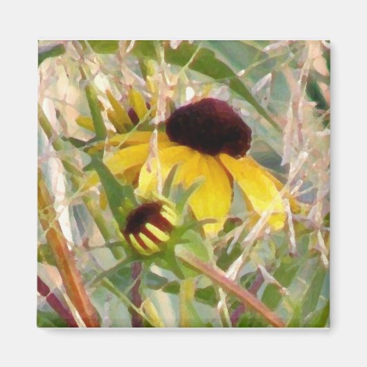 Rudbeckia en Co Magneet (Voorkant)
