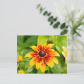Rudbeckia Flower Briefkaart (Staand voorkant)