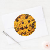 Rudbeckia Fulgida / Oogheelkundige Susans Ronde Sticker (Envelop)