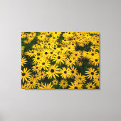 Rudbeckia Hirta (Black-eyed Susans) Canvas Afdruk (Voorkant)