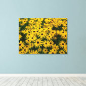 Rudbeckia Hirta (Black-eyed Susans) Canvas Afdruk (Insitu (Houten vloer))