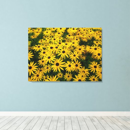 Rudbeckia Hirta (Black-eyed Susans) Canvas Afdruk (Insitu (Houten vloer))