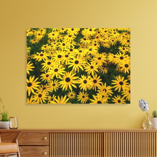 Rudbeckia Hirta (Black-eyed Susans) Canvas Afdruk (Insitu (Woonkamer))