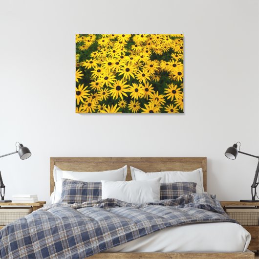 Rudbeckia Hirta (Black-eyed Susans) Canvas Afdruk (Insitu (Slaapkamer))
