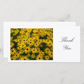 Rudbeckia Hirta (Black-eyed Susans) - Dank u wel Bedankkaart (Voorkant / Achterkant)