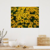 Rudbeckia Hirta (Black-eyed Susans) Poster (Keuken)