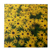 Rudbeckia Hirta (Black-eyed Susans) Tegeltje (Voorkant)