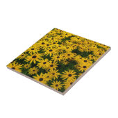 Rudbeckia Hirta (Black-eyed Susans) Tegeltje (Zijkant)