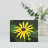Rudbeckia hirta briefkaart (Staand voorkant)