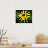 Rudbeckia hirta poster (Keuken)