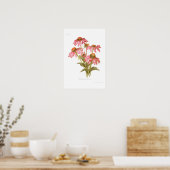 Rudbeckia purpurea poster (Keuken)