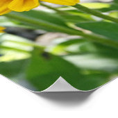 Rudbeckia Rising Poster (Hoek)