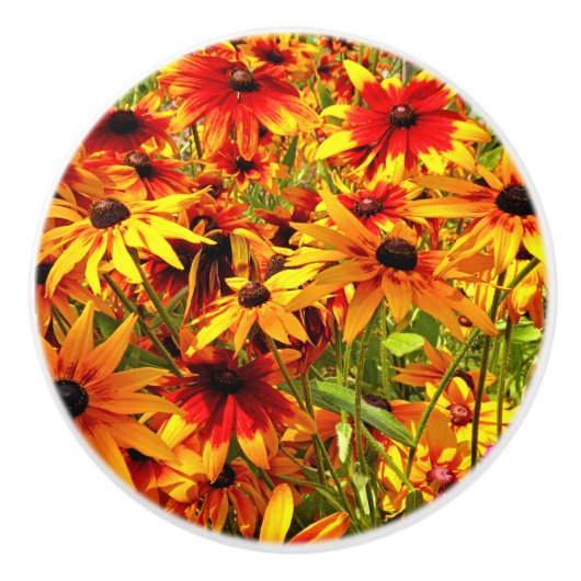 RUDBECKIA-STROMEN KERAMISCHE KNOP (Voorkant)