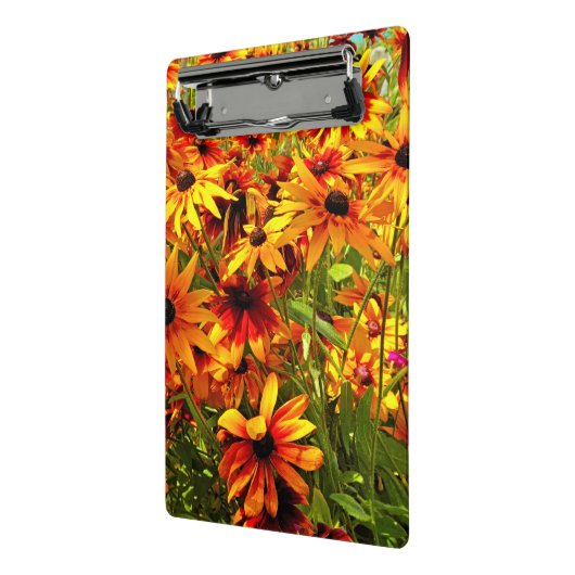 RUDBECKIA-STROMEN MINI KLEMBORD (Angled2)