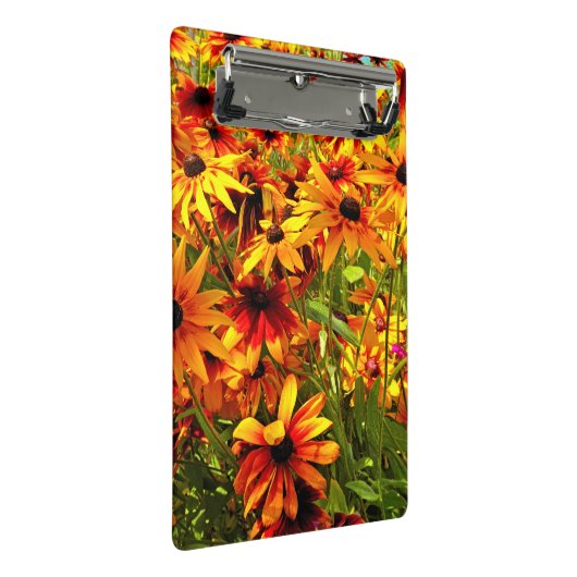 RUDBECKIA-STROMEN MINI KLEMBORD (Schuin)