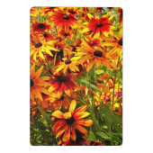 RUDBECKIA-STROMEN MINI KLEMBORD (Achterkant)