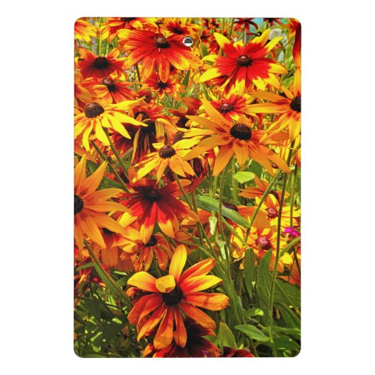 RUDBECKIA-STROMEN MINI KLEMBORD (Achterkant)