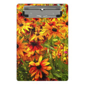 RUDBECKIA-STROMEN MINI KLEMBORD (Voorkant)