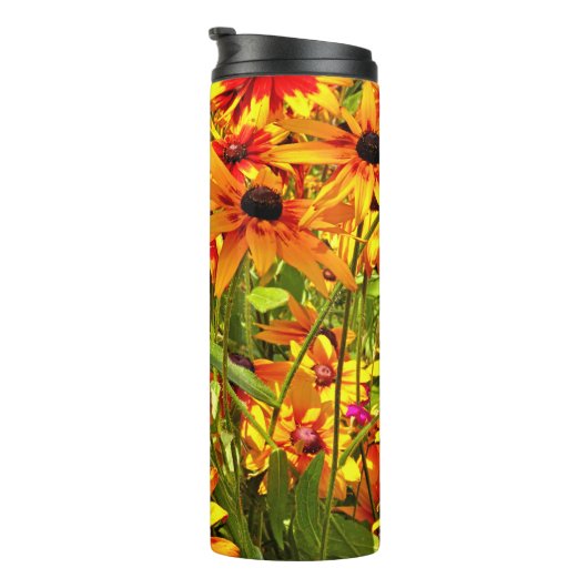 RUDBECKIA-STROMEN THERMOSBEKER (Geroteerd rechts)