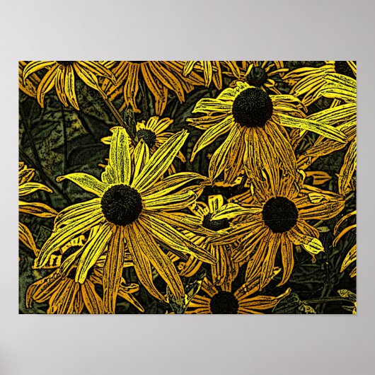 RUDBECKIAS POSTER (Voorkant)