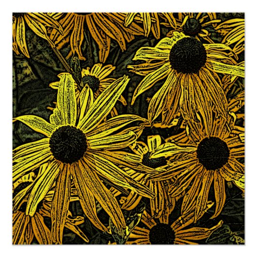 RUDBECKIAS POSTER (Voorkant)