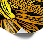 RUDBECKIAS POSTER (Hoek)