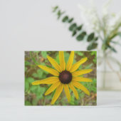 Rudbeckie hérissée briefkaart (Staand voorkant)