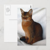 Ruddy AbyssINA Briefkaarten (Voorkant / Achterkant)