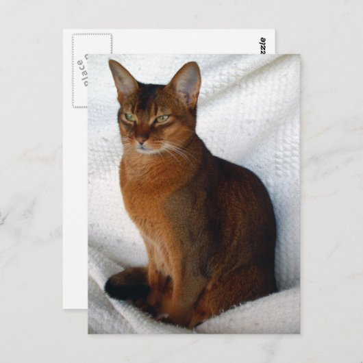 Ruddy AbyssINA Briefkaarten (Voorkant / Achterkant)