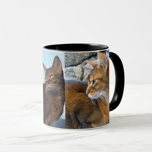 Ruddy Abyssinian Vrouw Cat Mok (Voorkant rechts)