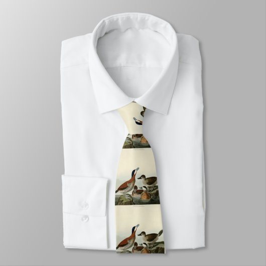 Ruddy Duck van John Audubon's Birds of America Stropdas (Gebonden)