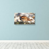 Ruddy Turnstone Shorebird bij het strand Canvas Afdruk (Insitu (Houten vloer))