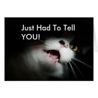 Rude Cat Custom en Gezegde