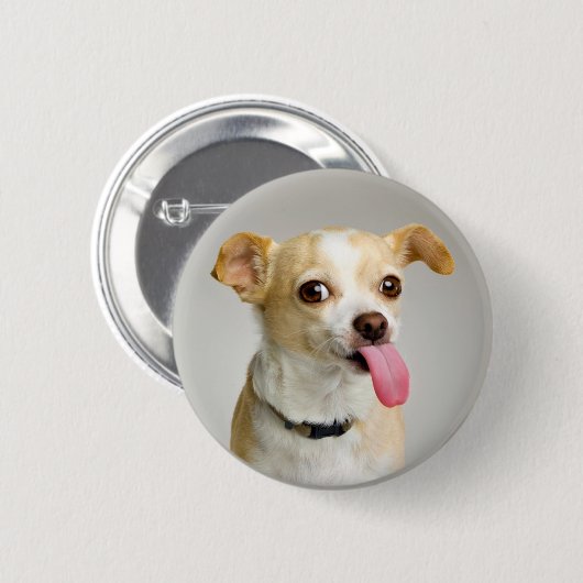 Rude Chihuahua Button (Voorkant /achterkant)