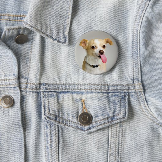 Rude Chihuahua Button (In situ)