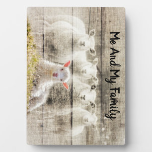 Rudimentaire schaap baby lammetje jute fotoplaat