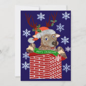 Rudolf Christmas Greeting Feestdagenkaart (Voorkant)