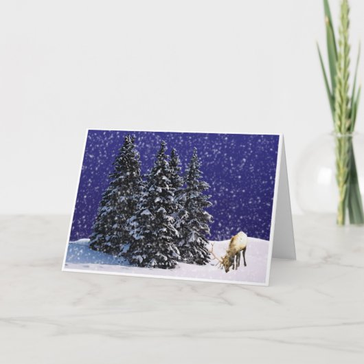 Rudolf het rendier feestdagen kaart (Voorkant)